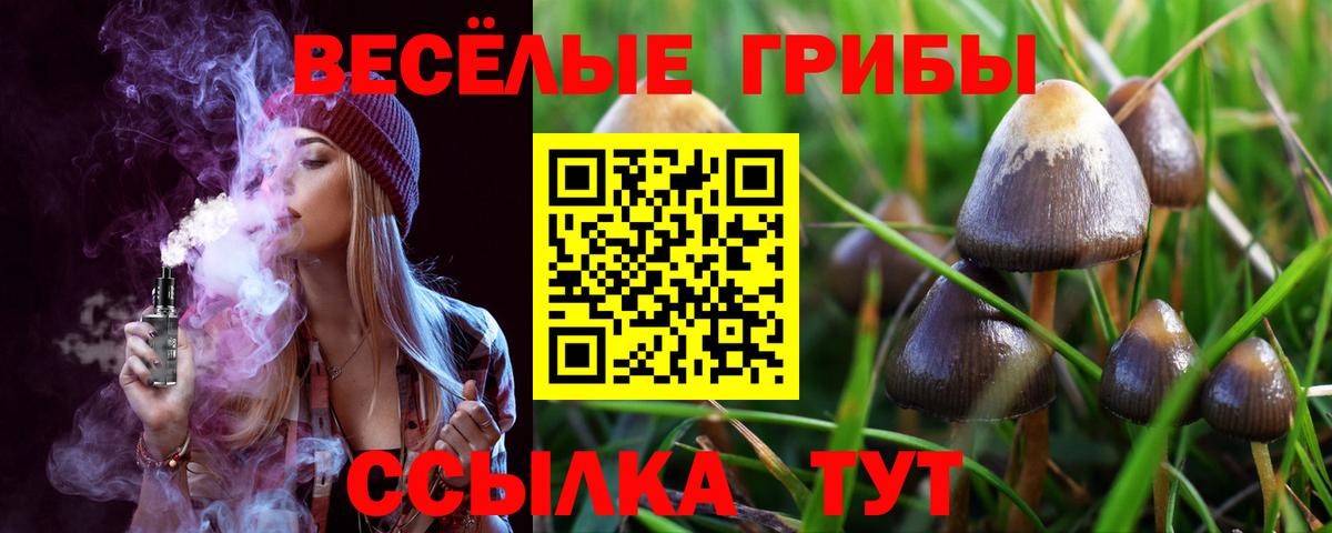 Псилоцибиновые грибы Cubensis  Вход с VPN  Ликино-Дулёво 