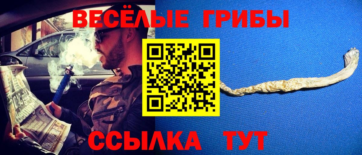 Псилоцибиновые грибы мицелий Ликино-Дулёво